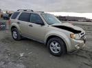 Ford Escape Xlt Image 5
