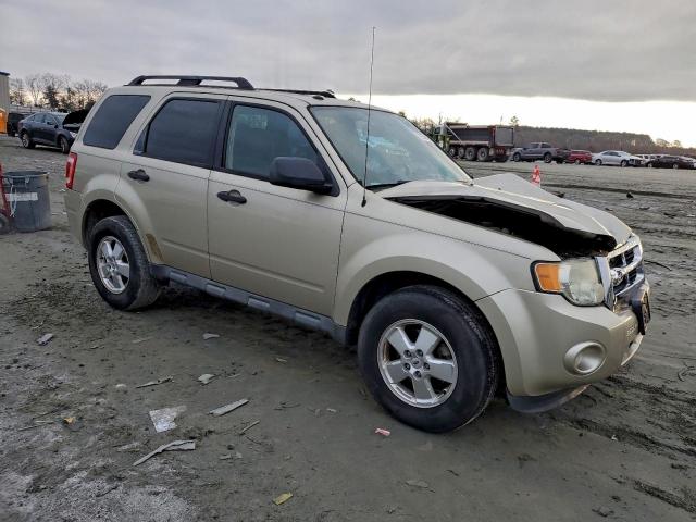 Ford Escape Xlt Image 5