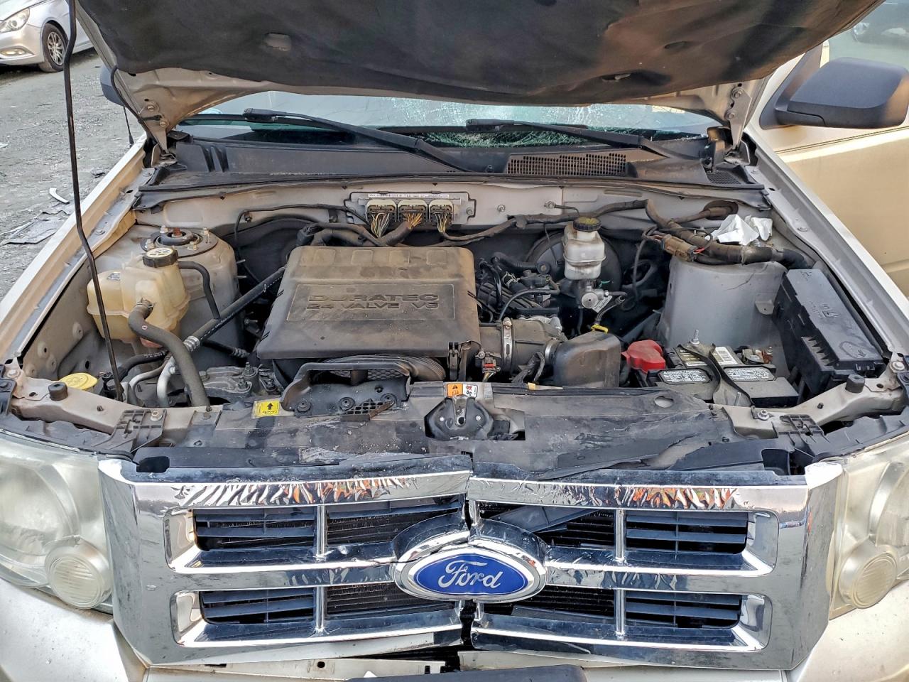 Ford Escape Xlt Image 3