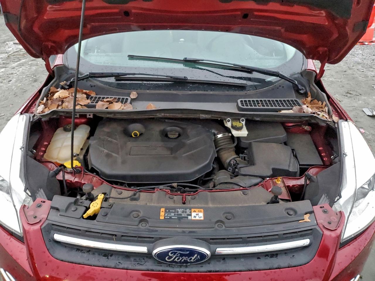 Ford Escape Se Image 8