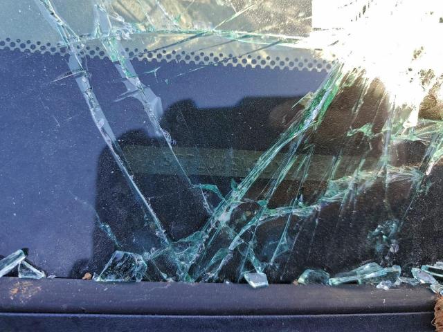 Toyota Tacoma Double Cab Image 11