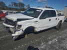 Ford F-150 Supercrew Image 1
