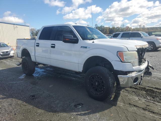 Ford F-150 Supercrew Image 12