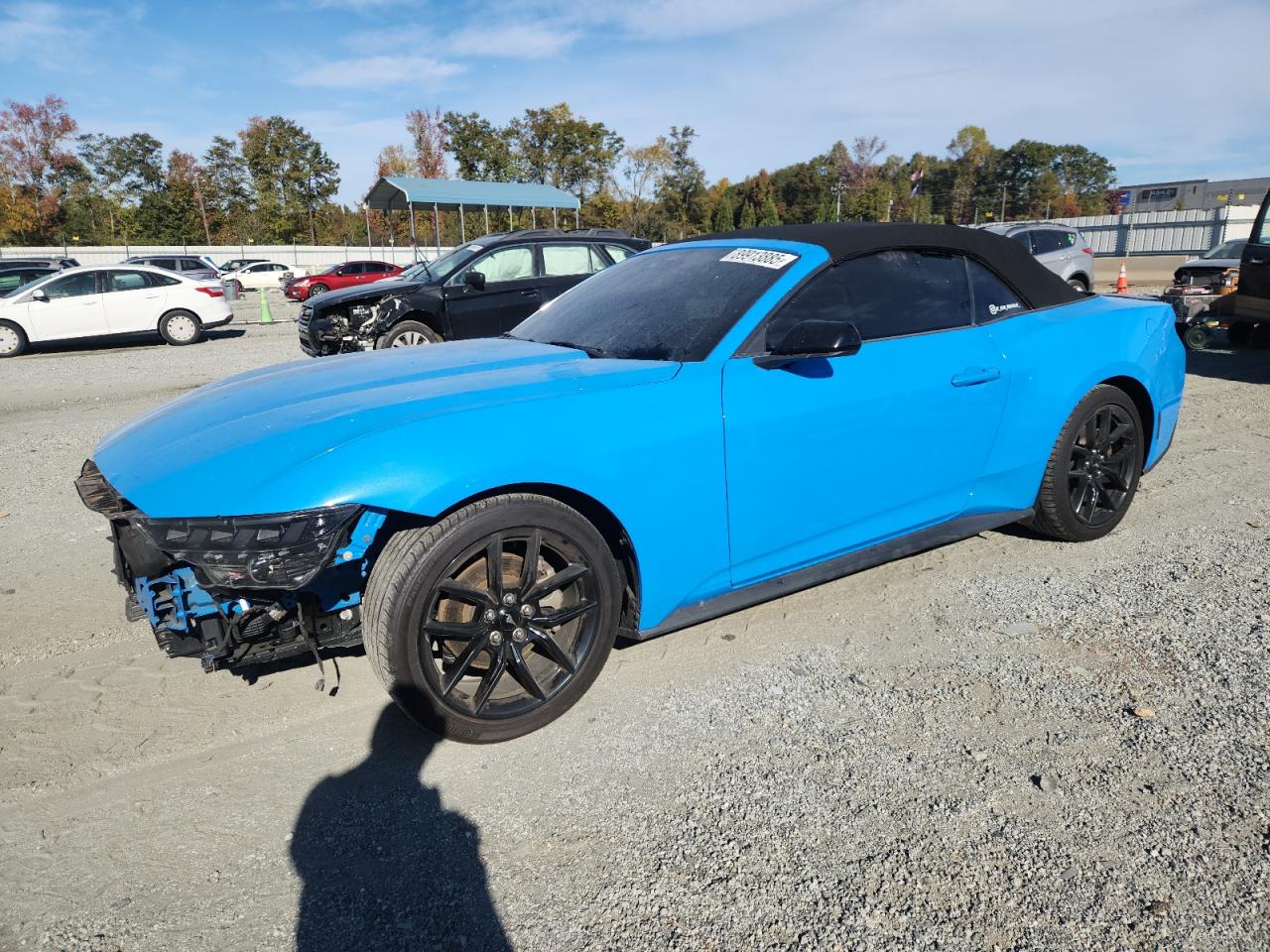 Ford Mustang Image 1