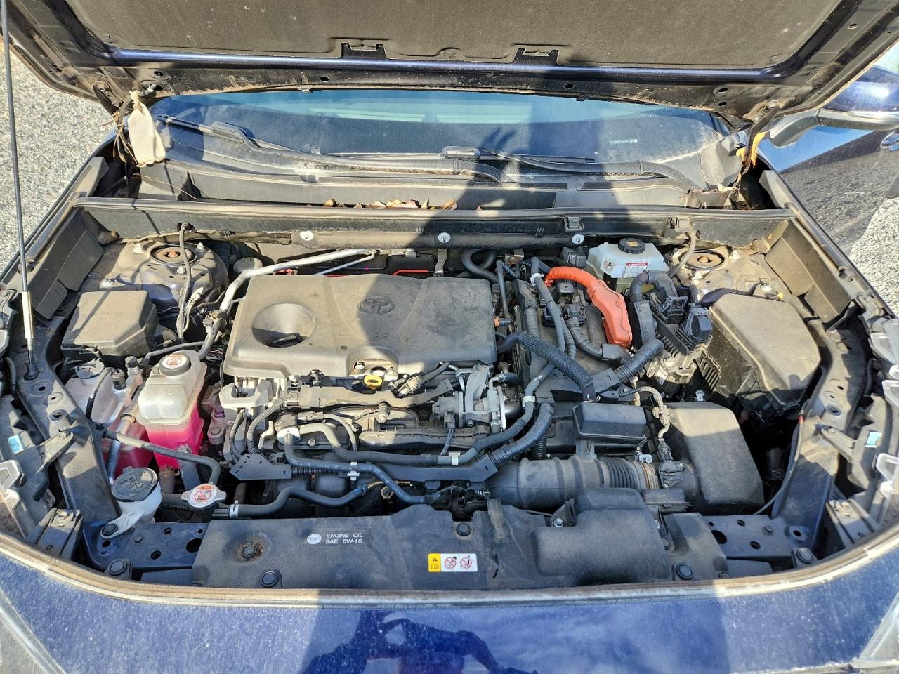 Toyota RAV4 Xle Image 13