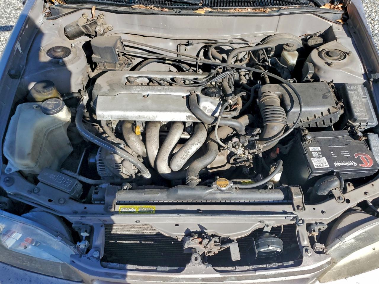 Toyota Corolla Ve Image 10