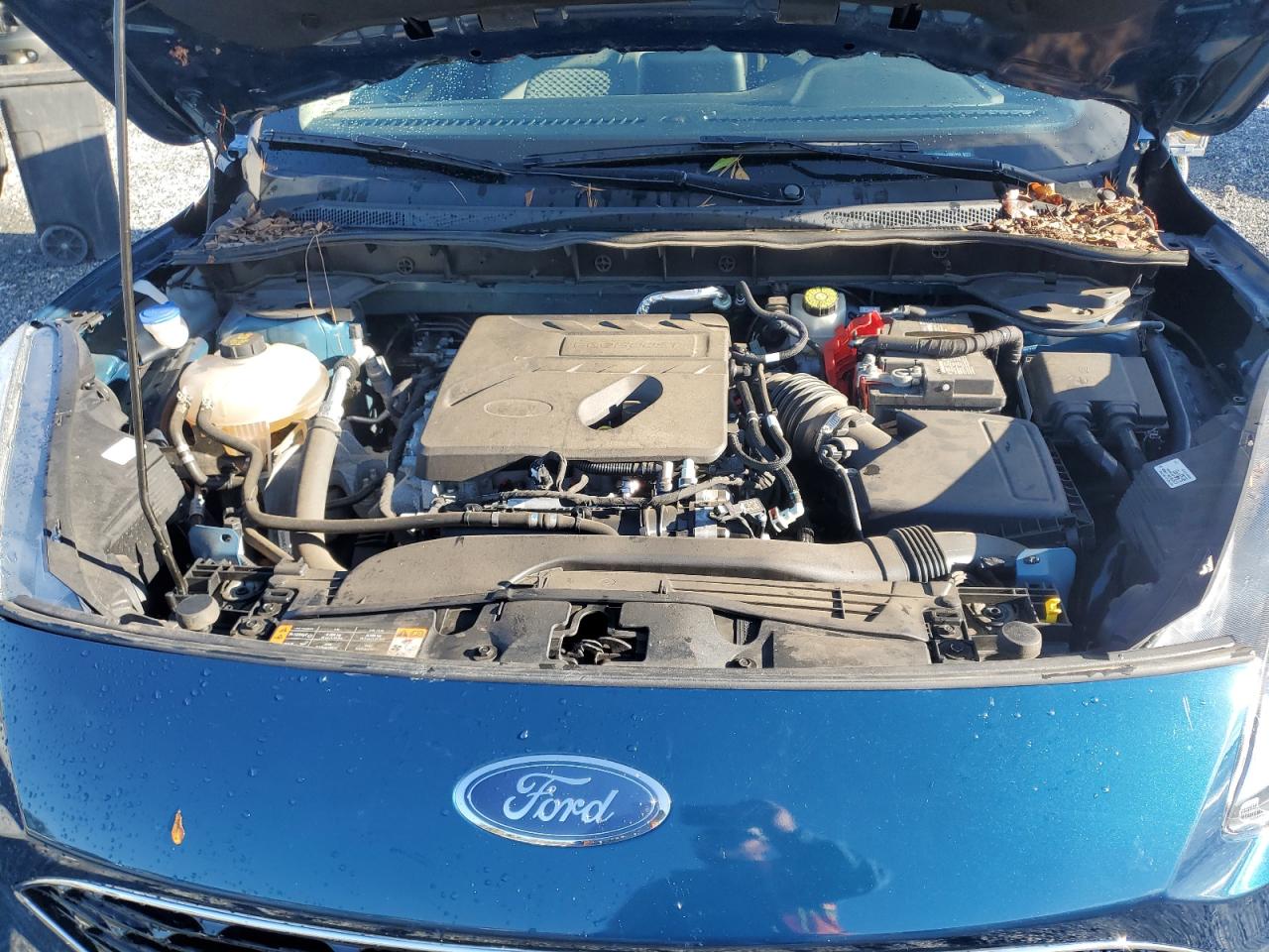 Ford Escape Se Image 7