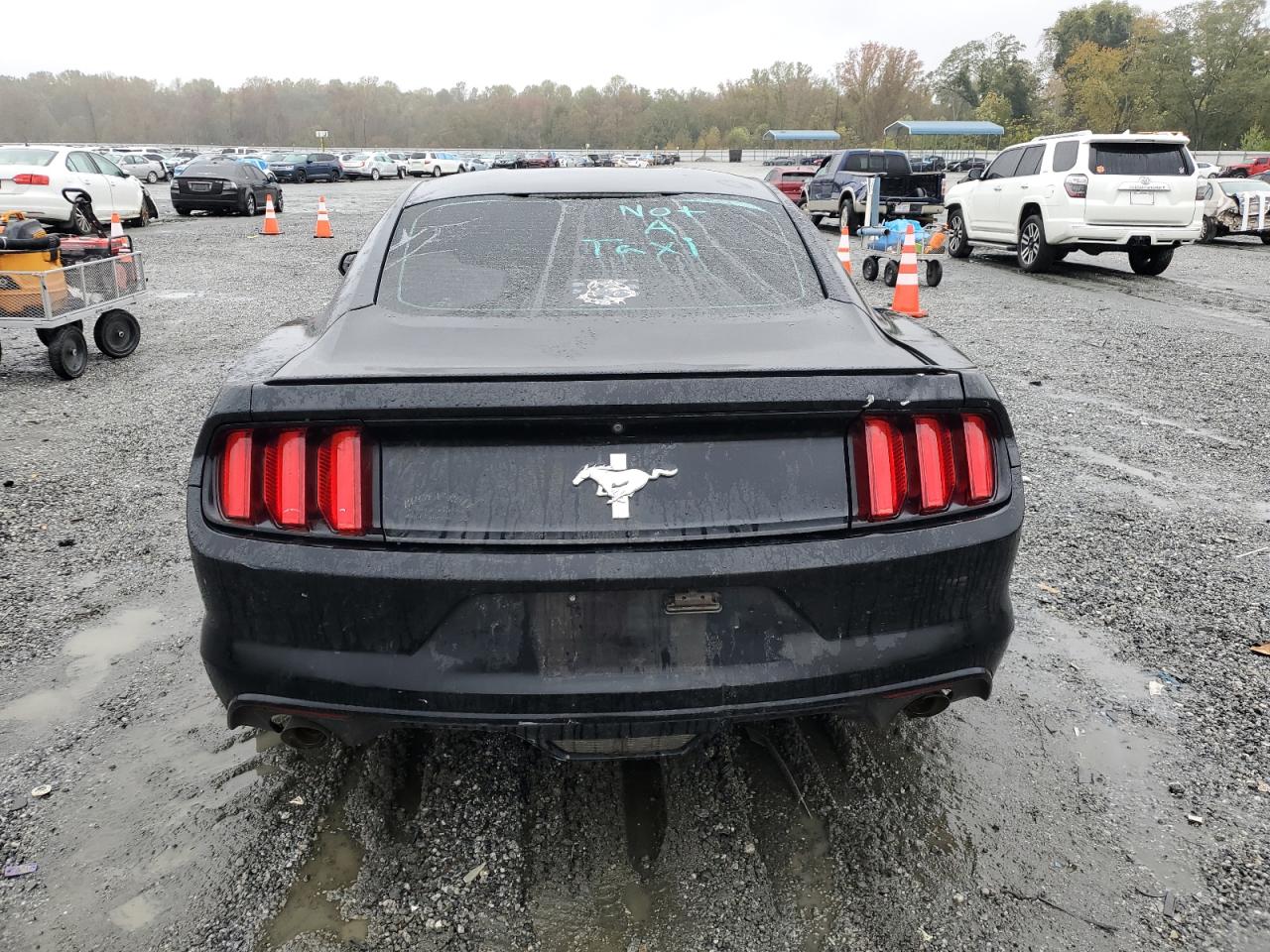 Ford Mustang Image 3