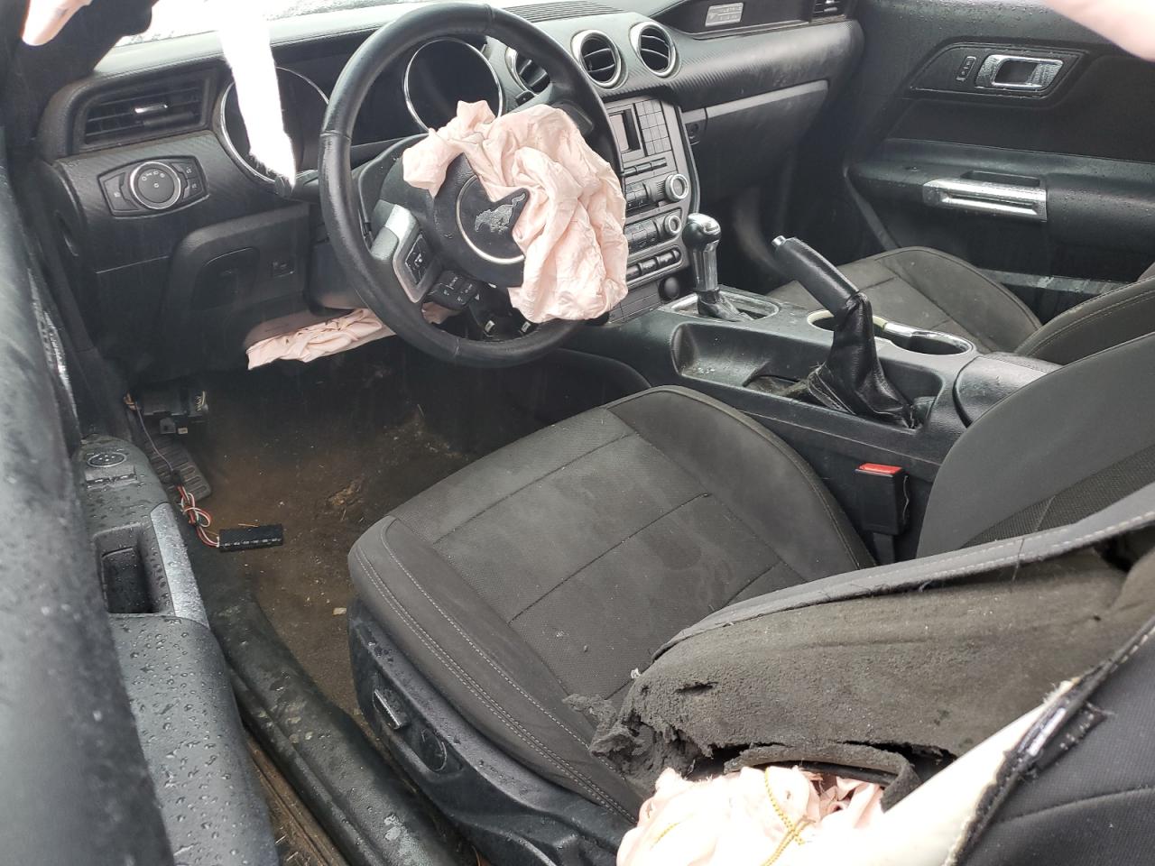 Ford Mustang Image 2