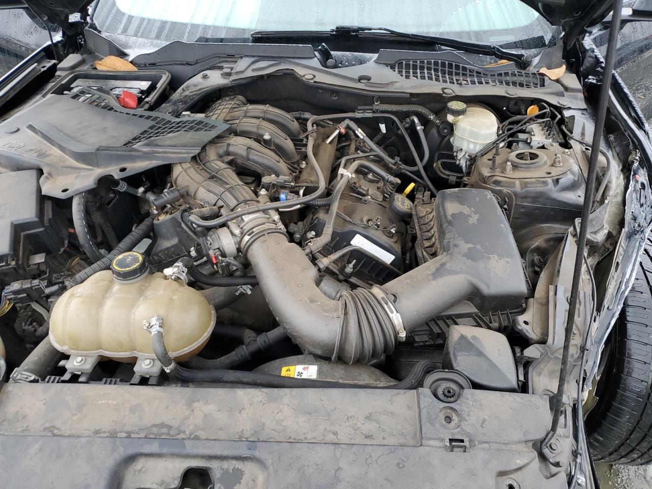 Ford Mustang Image 8