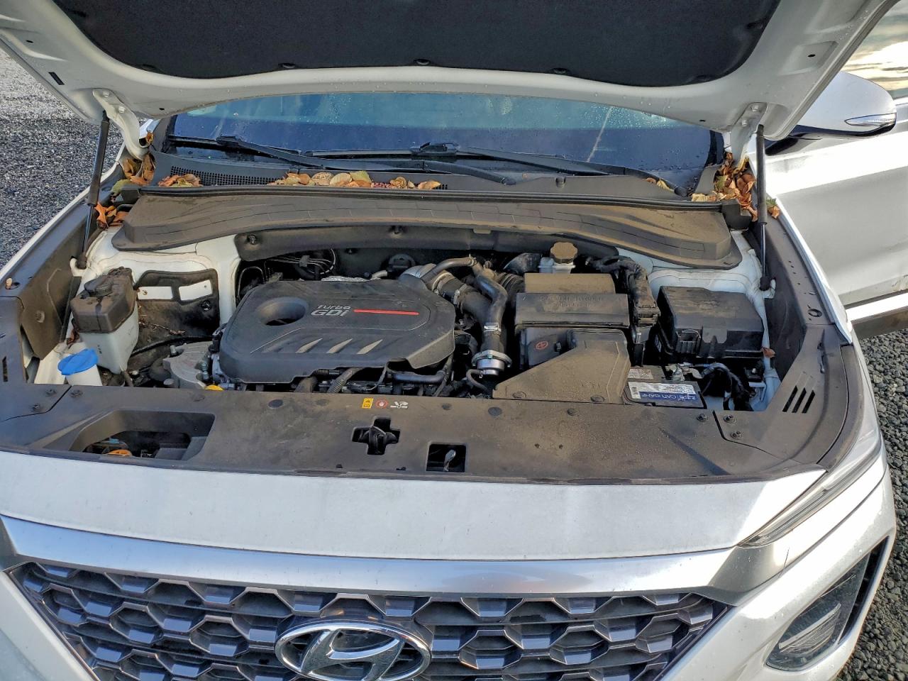 Hyundai SANTA FE Sel Image 8