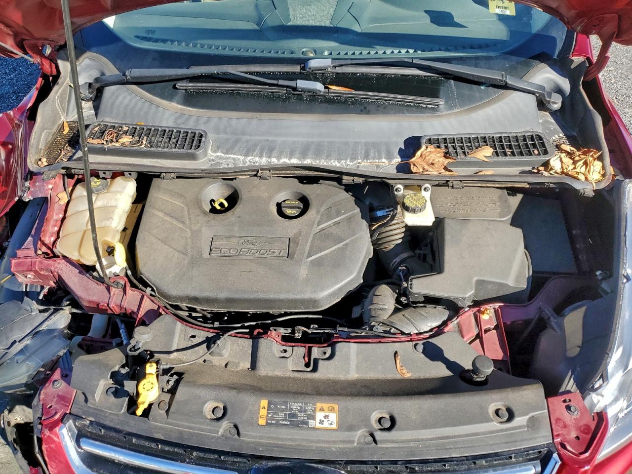 Ford Escape Titanium Image 5