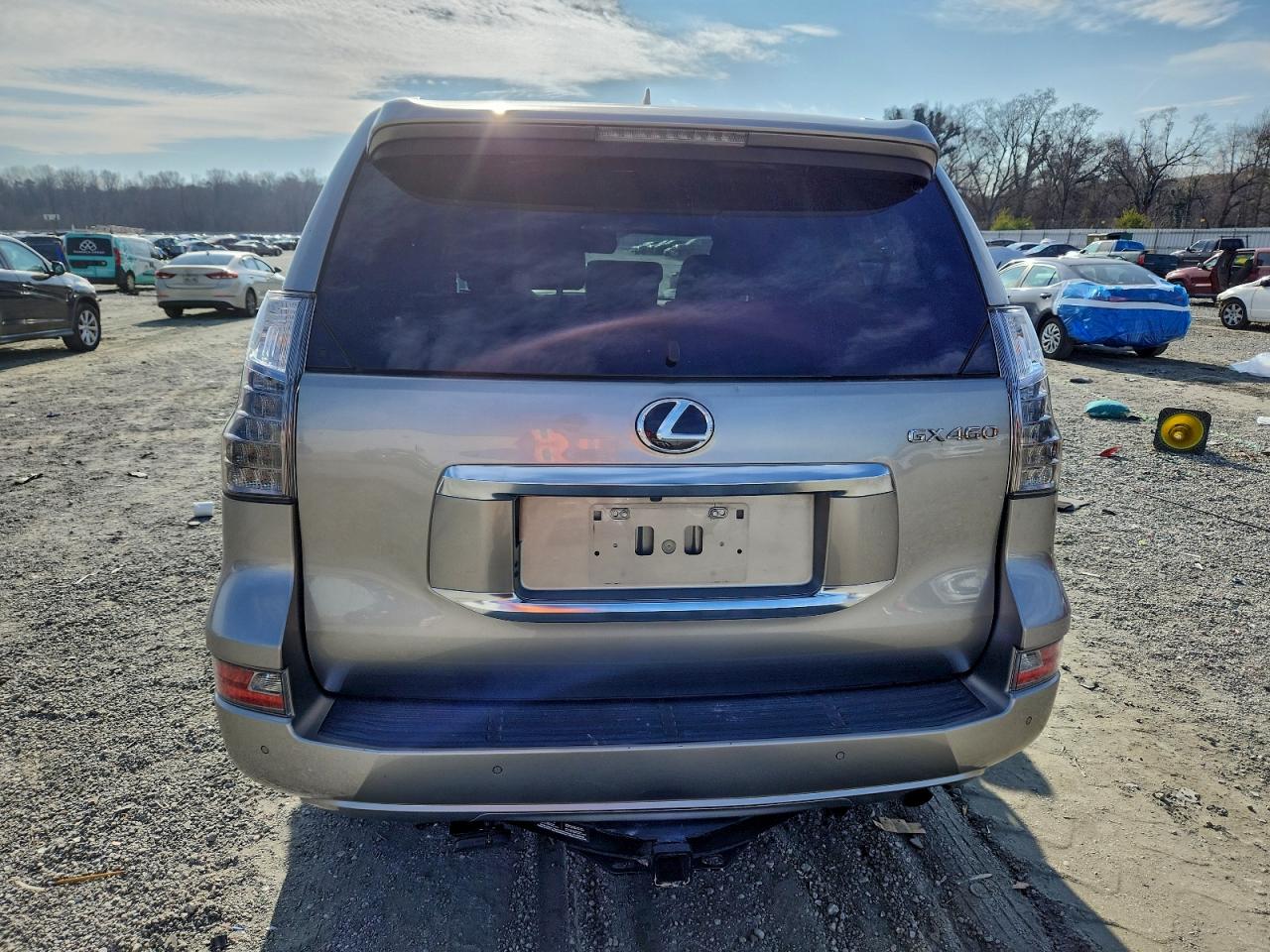 Lexus Gx 460 Luxury Image 12