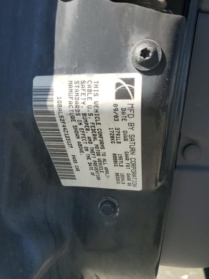 Saturn Ion Level 3 Image 4