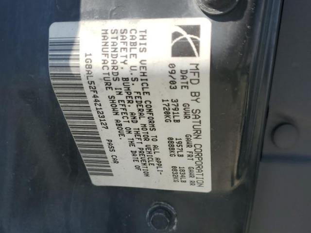 Saturn Ion Level 3 Image 4