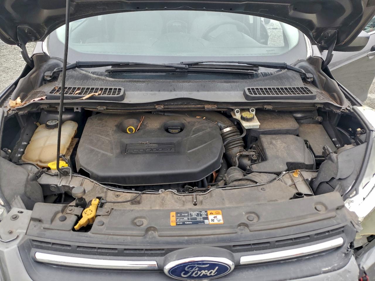 Ford Escape Se Image 7