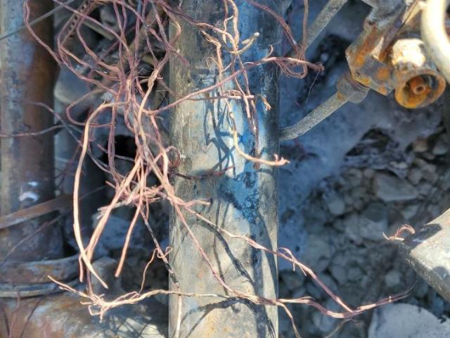 Honda Gl Cycle A Image 5