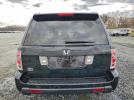 Honda Pilot Se Image 6