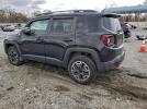 Jeep Renegade Trailhawk Image 3