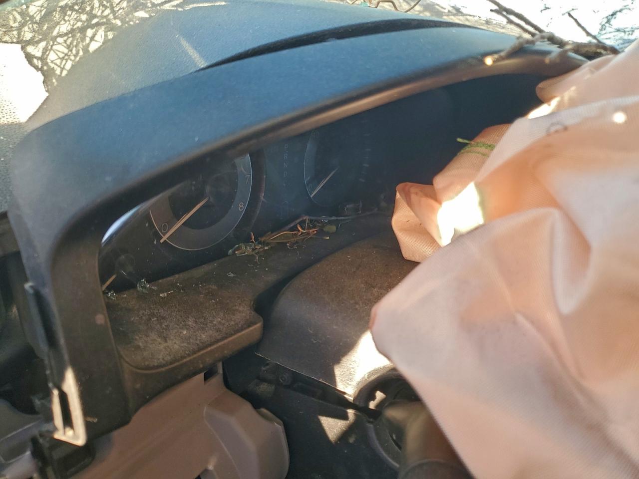 Honda Odyssey Exl Image 8