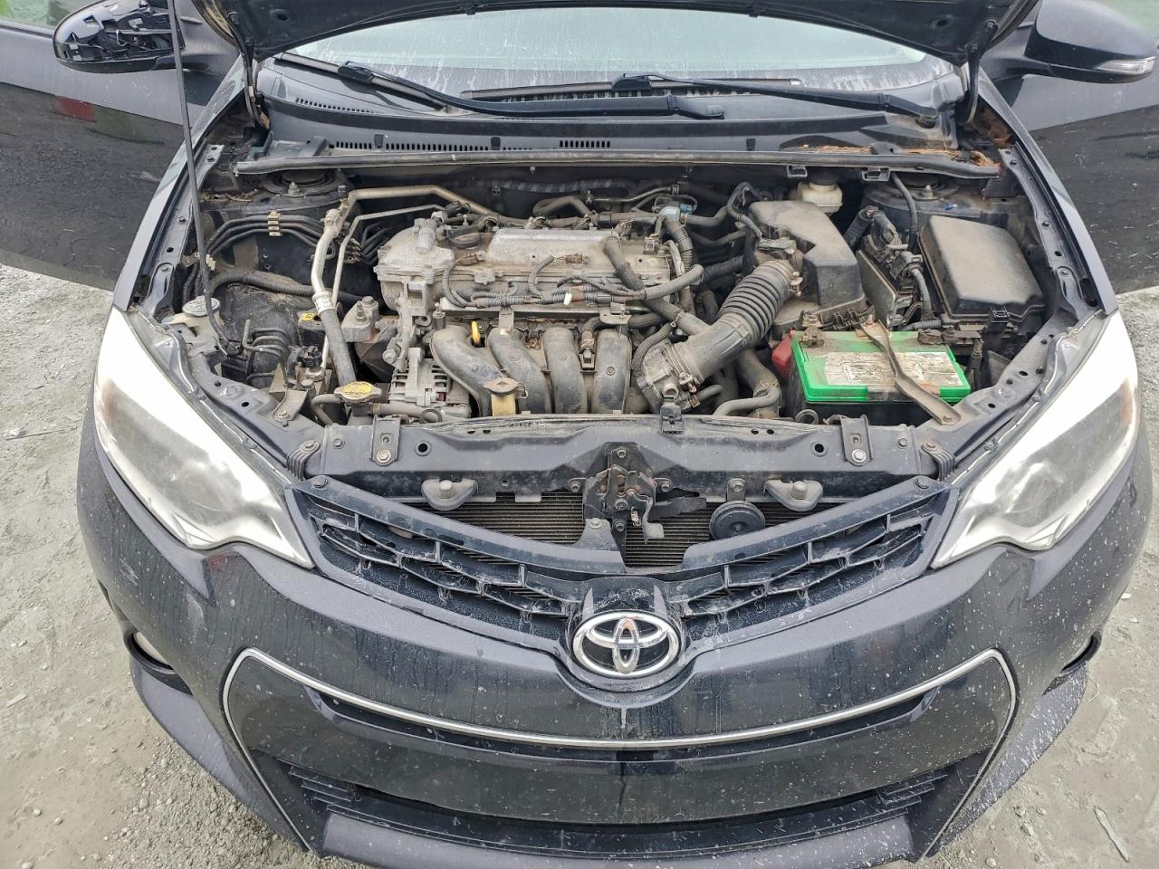 Toyota Corolla L Image 10