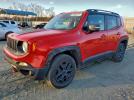 Jeep Renegade Trailhawk Image 1