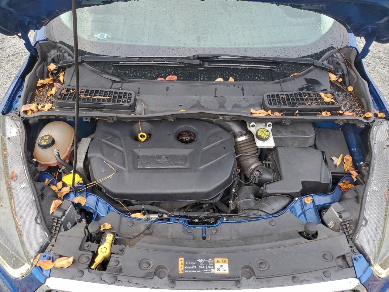 Ford Escape Titanium Image 12