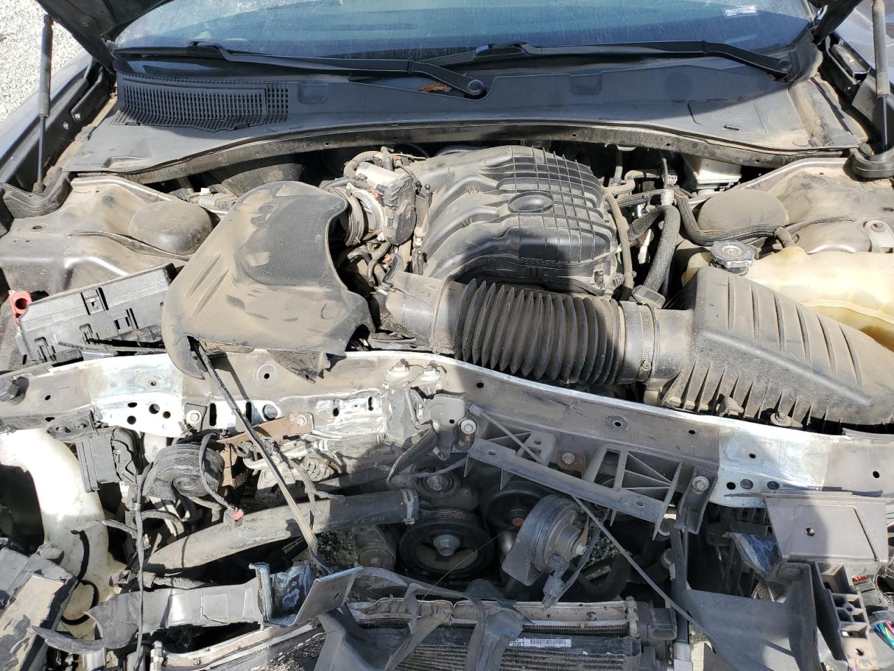 Dodge Charger Sxt Image 8