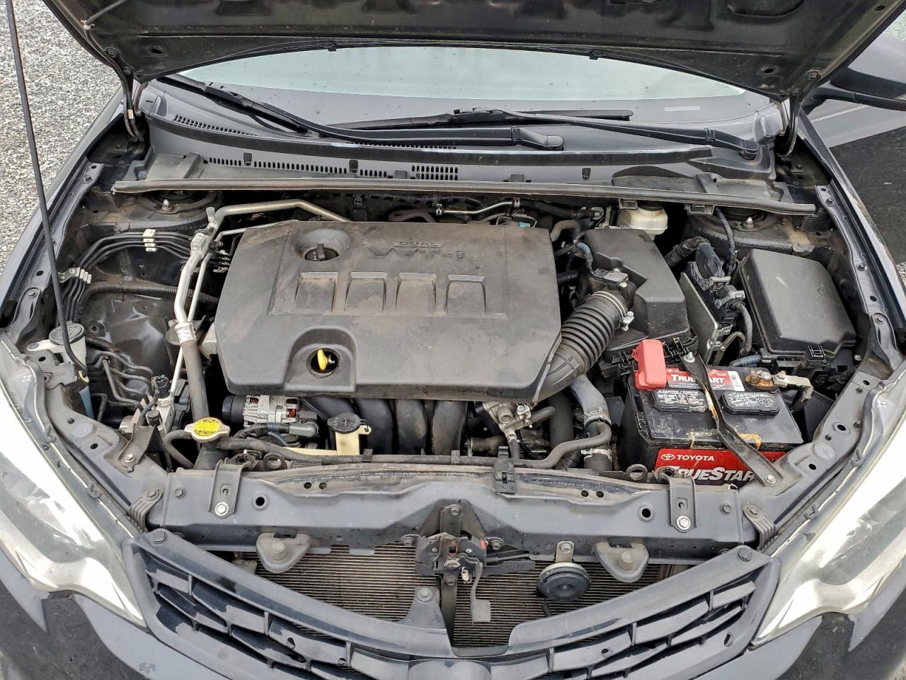 Toyota Corolla L Image 8